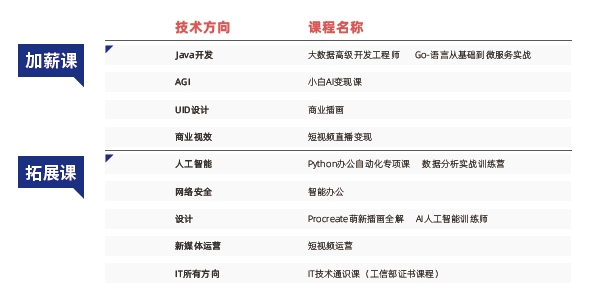 武漢達(dá)內(nèi)教育怎么樣？課程概要