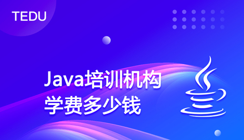成人編程班大概多少錢？